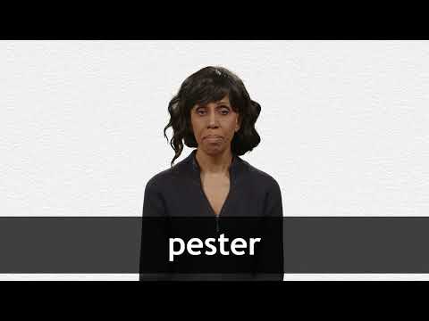 How to pronounce PESTER in American English