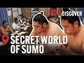 The Hidden Side of Sumo Wrestling: Blood, Sweat and Tears | Full Documentary