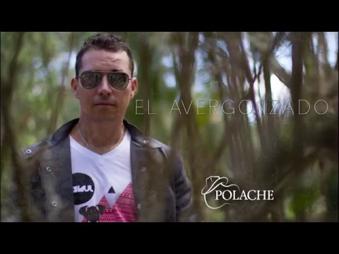 EL AVERGONZADO