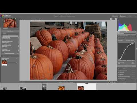 Workflow Walkthrough #17 - Using Styles in Darktable