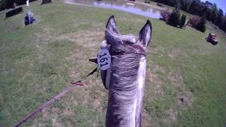 Poplar Place Farm May 2017 XC Beginner Novice (Helmet Camera)