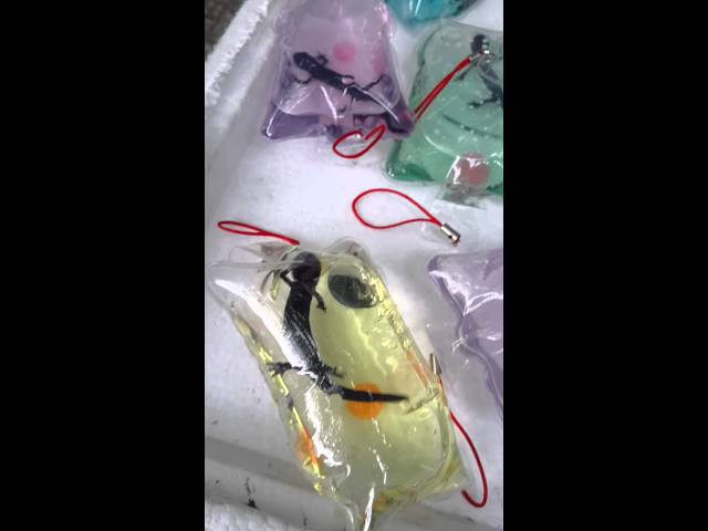 Vídeo relacionado con Anboor Juego de 5 Animales pequeños Rellenos de Peluche de 12 cm con Llavero para Fiestas de favores (Sentado)