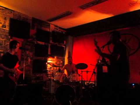 MVI 6054 raw noise apes