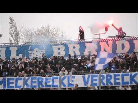 BSG Stahl Brandenburg - Brandenburger SC Süd 05 (25.10.2025)