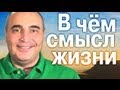 В Чем Смысл Жизни? 