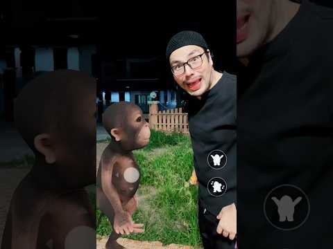 ออกไปเลย!! 🐒😂 เจ้าลิงดื้อ? #funny #comedy #drama #humor #memes #youtube #shorts #minmayang