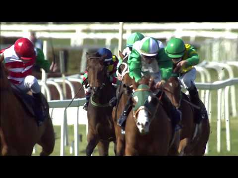 Highlights 129° Premio Pisa