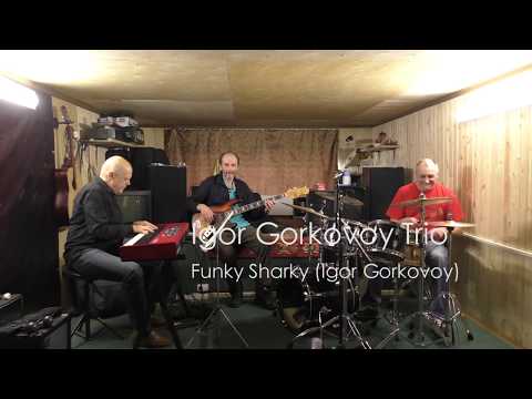 Igor Gorkovoy Trio - Funky Sharky