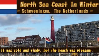 Netherlands winter coast オランダ冬の海