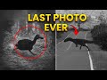 28 Last Photos of Extinct Animals | Full Series DEFAULT Thumbnail