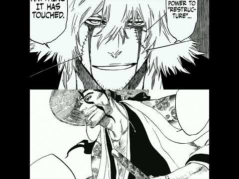 Icykiddo "BANKAI SHUNSUI X KISUKE"