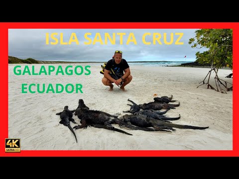 ISLA SANTA CRUZ de GALAPAGOS 2025, ( ECUADOR)