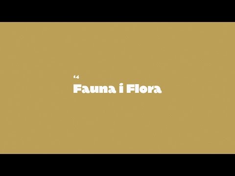 Video thumbnail for Fauna i flora