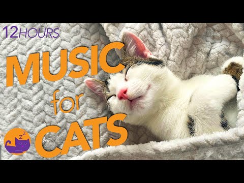 Soothing Music for Cats with Anxiety - Gentle and effective