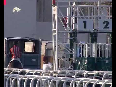 13th Race Meeting of Season 2017 / 2018