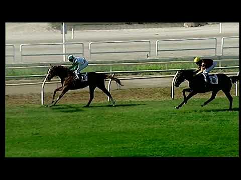 Napoli Galoppo 03/06/2022 - 1ª corsa