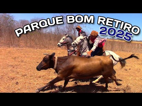 2° Pega de Boi No Parque BOM RETIRO 2025