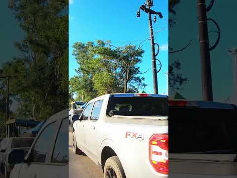 🔥 Entrando a la Feria Más Grande de Resistencia, Chaco | ¡No vas a creer lo que venden! 😱