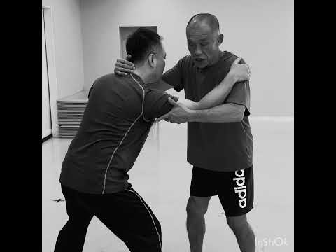 皮の崩し　#柔理 #bjj #jiujitsu #martialarts #mma