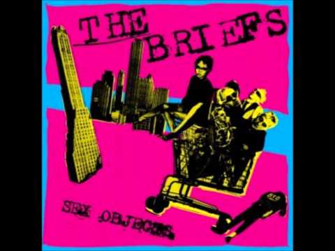 THE BRIEFS- DESTROY THE USA