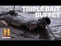 Swamp People 6 Types Of Gator Bait Lure In MASSIVE Gators History