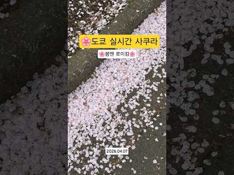 영화 같은 순간들: 음악이 선사하는 감동