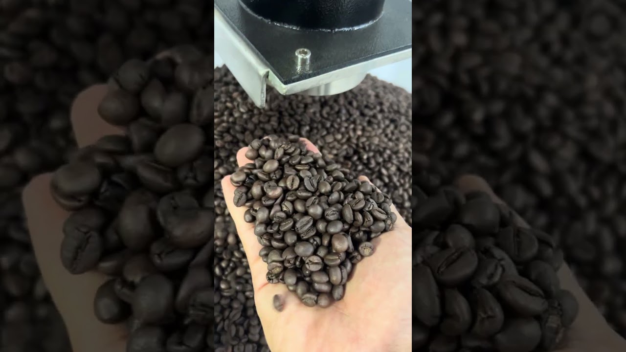 Cà Phê Phin Giấy (Drip Bag) Nguyên Chất – Gu Đậm Bản Sắc | Cafemangdi.vn (Hộp 10 gói)