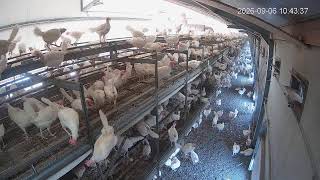 Kipster Venray Cam 3 live webcam