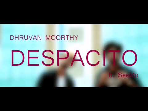Two hindi songs. Despacito and mi gente in hindi.