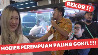 PANAS‼️CICI CHINDO TAJIR HOBIES IKAN PREDATOR- PEMENANG AQUARIUM 3.5M DI EVENT TERBESAR DI INDONESIA