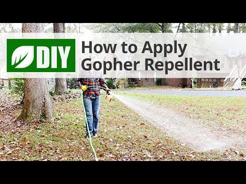  How to Apply Gopher Repellent  Video 