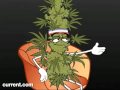 Marijuana vs Crystal (dnb) - Známka: 2, váha: malá