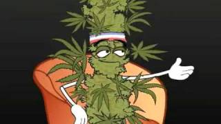 Marijuana VS. Crystal Meth - Funny but true video