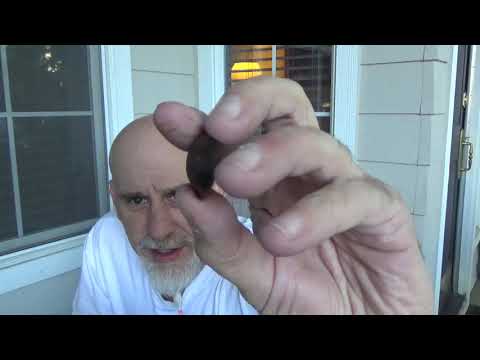 SPICY AND SUPER SPICY DARK CHOCOLATE FROM ABBA BLUM AND BLUM LOCO!!!