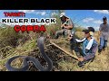 KAMATAYAN SA ITIM NA COBRA NG CAGAYAN