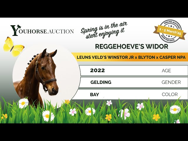 Reggehoeve's Widor impression