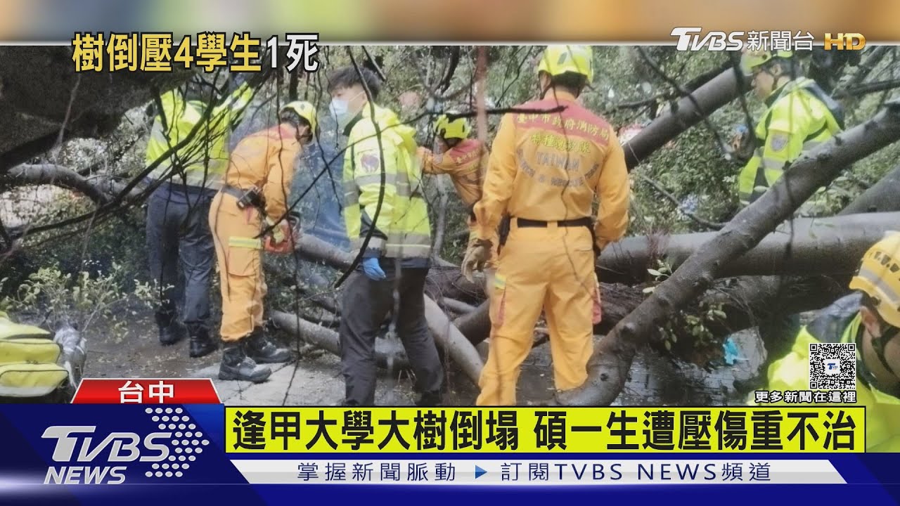 逢甲大學大樹倒塌 碩一生遭壓傷重不治