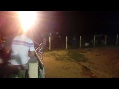 Marcelo Souza x Saruê cia de rodeio:Talismã