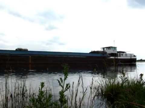 Vorbeifahrt Binnenschiff Nordwind - GMS - 4008410 am Schreibpegel Reithörne