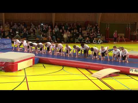 Framsýning 2024 - Leyg kl 15 - 4-5. flokkur dreingir