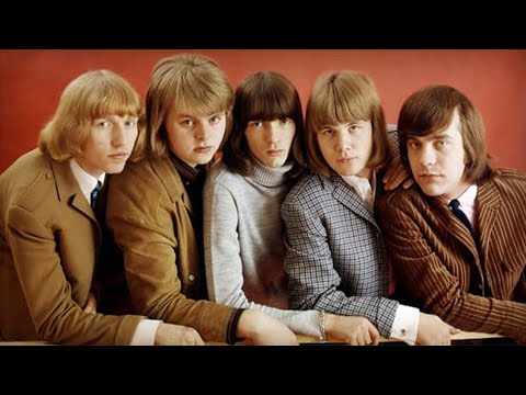 Hep Stars - Sunny Girl (org)