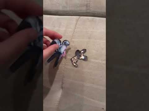 The Halley Labs Show Short: Tweesee...TALKS?!