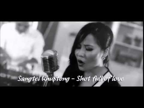 Don Williams - Shot full of love (Cover by Sangtei Khuptong) | Audio