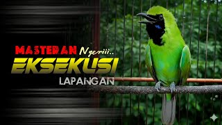 Download lagu 🔴EKSEKUSI LAPANGAN‼️CUCAK IJO GACOR NGENTROK FULL TEMBAKAN NGERI.. mp3 Download lagu 🔴EKSEKUSI LAPANGAN‼️CUCAK IJO GACOR NGENTROK FULL TEMBAKAN NGERI.. mp3