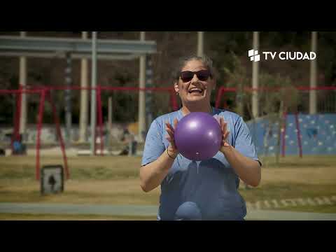 En movimiento Programa 2