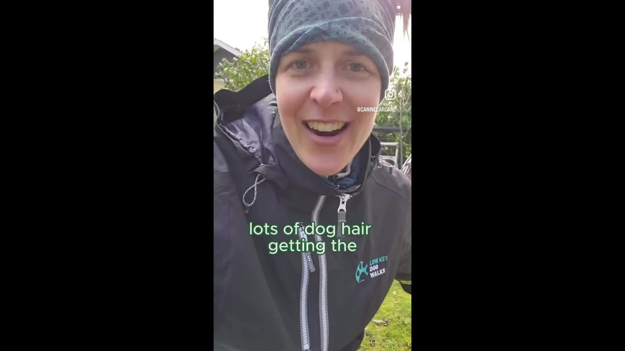 Low Key Dog Walks Testimonial thumbnail