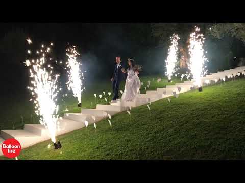 Ηδύλοφον σιντριβάνια στις σκάλες είσοδος ζευγαριού Άυγουστος 2019