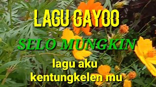 Download lagu lagu gayo kentungkelen mp3