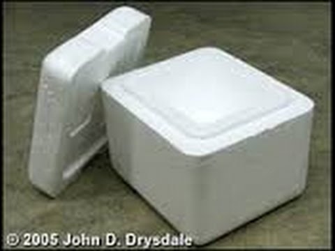 download lagu mp3 mp4 Mini Styrofoam Cooler, download lagu Mini Styrofoam Cooler gratis, unduh video klip Mini Styrofoam Cooler