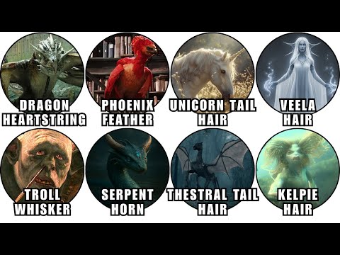 Every Wand Core Explained in Detail